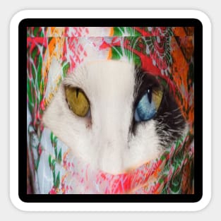 EYE REAL CAT Sticker